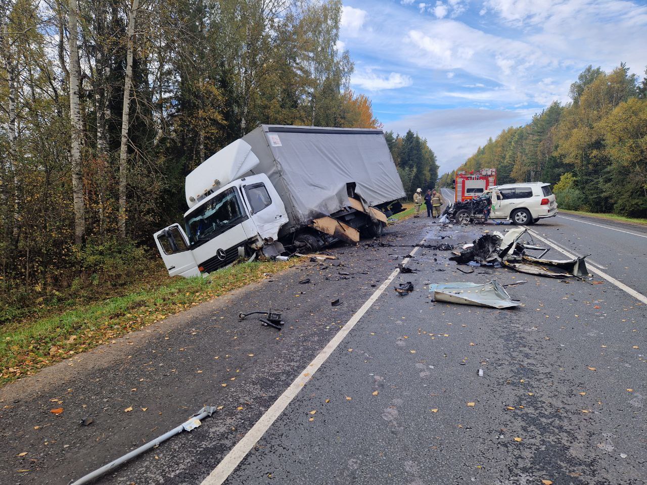 В Первомайском районе в ДТП с грузовиком погиб водитель иномарки