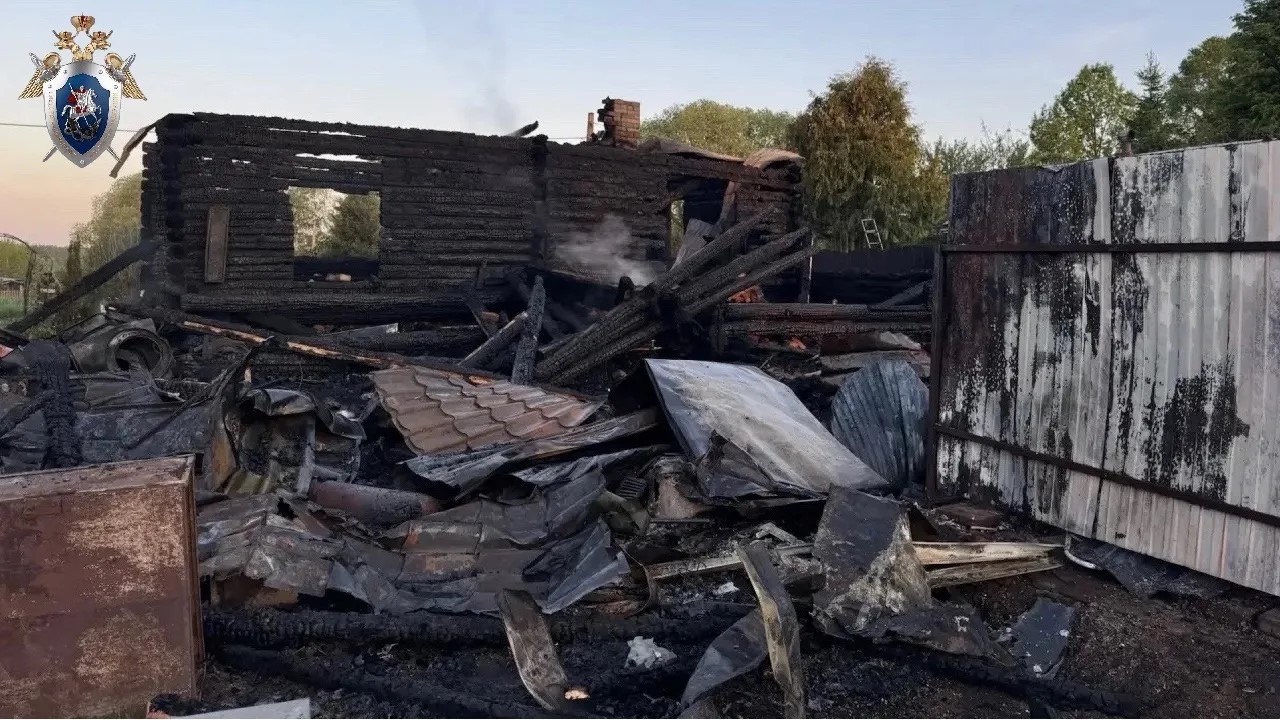 Мужчина погиб при ночном пожаре под Ростовом
