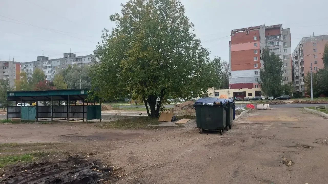 Мусорные контейнеры у дерева во дворе многоэтажных домов