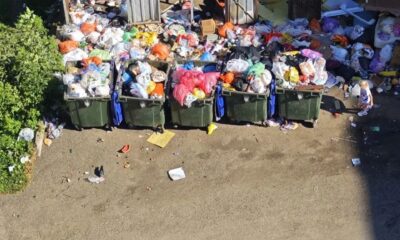Переполненные мусорные контейнеры и разбросанные отходы у навеса