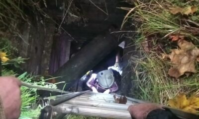 Спасатели с лестницей помогают человеку выбраться из колодца