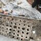 Обнаруженные при раскопках окна Люксфера в Ярославле с измерительной рулеткой