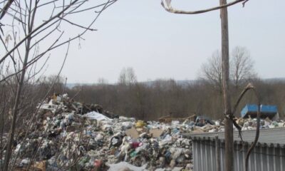 Свалка бытовых отходов среди деревьев на окраине леса