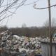Свалка бытовых отходов среди деревьев на окраине леса