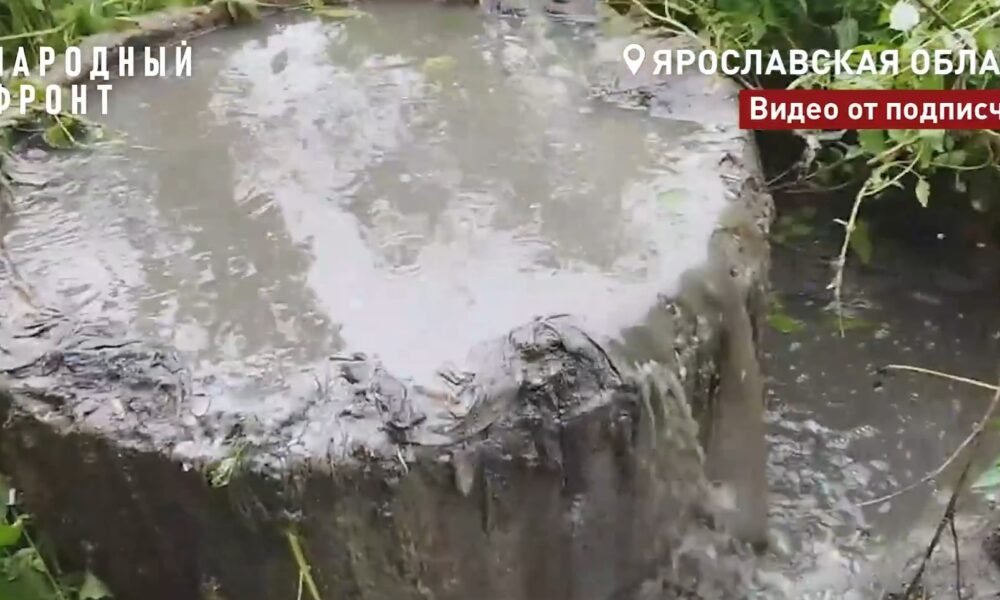 Сточные воды переливаются через бетонный колодец среди травы
