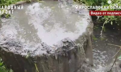 Сточные воды переливаются через бетонный колодец среди травы