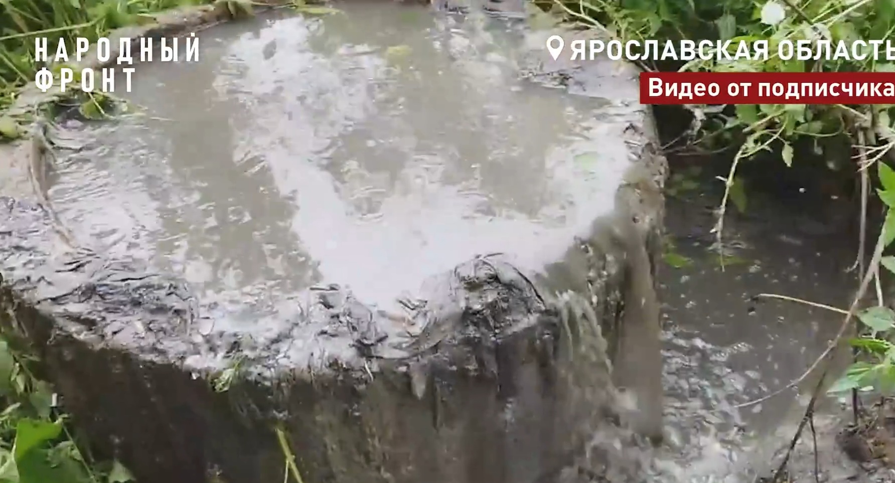 Сточные воды переливаются через бетонный колодец среди травы