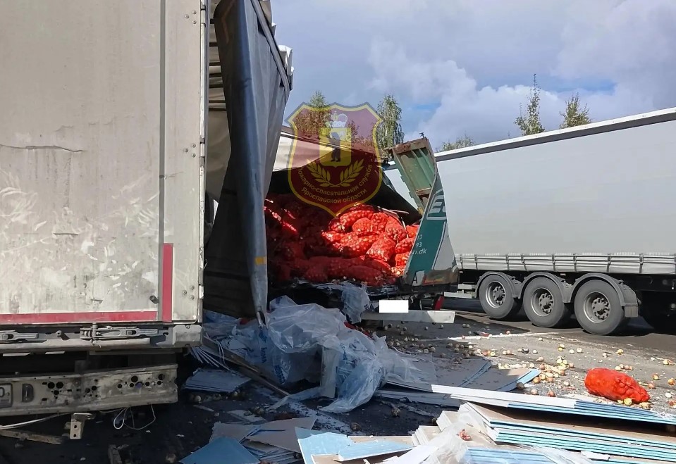 Рассыпавшийся лук из повреждённой фуры после ДТП в Ярославской области