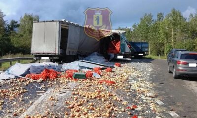 Рассыпавшийся лук на дороге после ДТП с грузовиками в Ярославской области