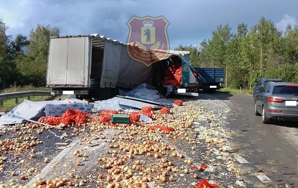Рассыпавшийся лук на дороге после ДТП с грузовиками в Ярославской области