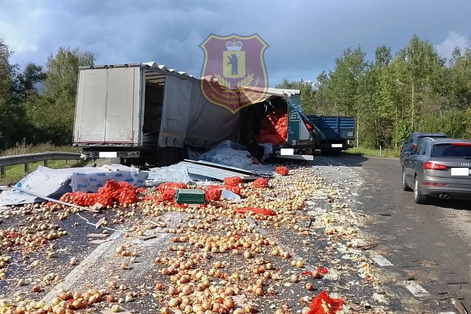 Рассыпавшийся лук на дороге после ДТП с грузовиками в Ярославской области