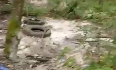 Свалка с автомобильными шинами и мусором в лесу