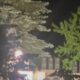 Вечный огонь у мемориала ночью, частично закрытый ветвями деревьев