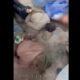 Люди в зимней одежде сидят на полу среди мешков и вещей