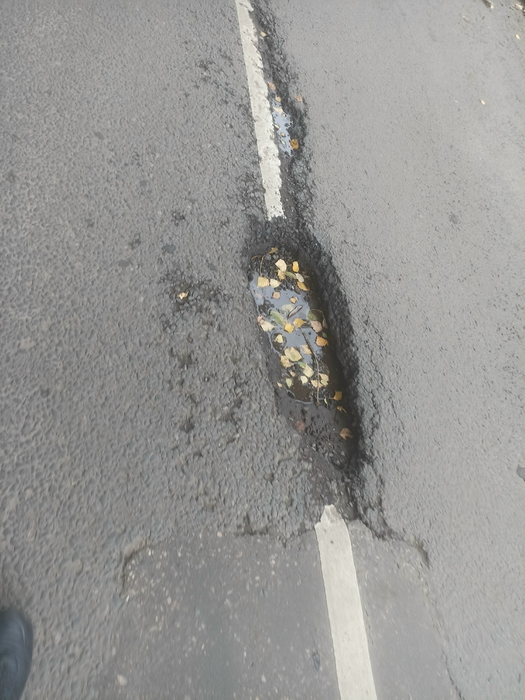 Яма с водой и листьями на мокрой дороге у белой разметки
