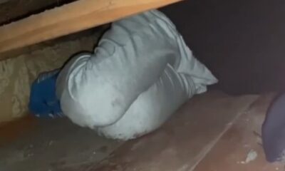Женщина в светлой куртке прячется под диваном