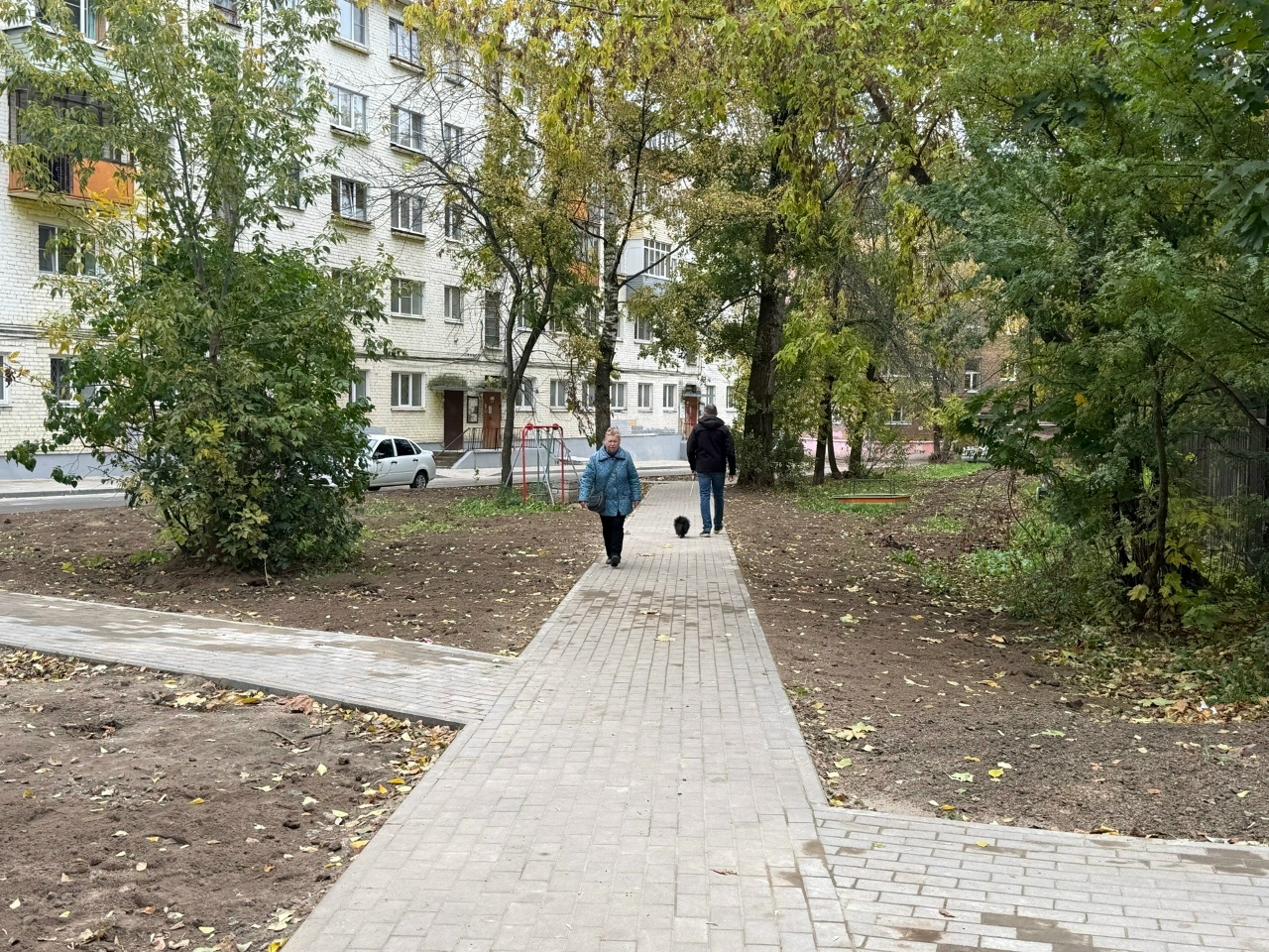 Кот на новой тротуарной дорожке во дворе Ярославля рядом с прохожими