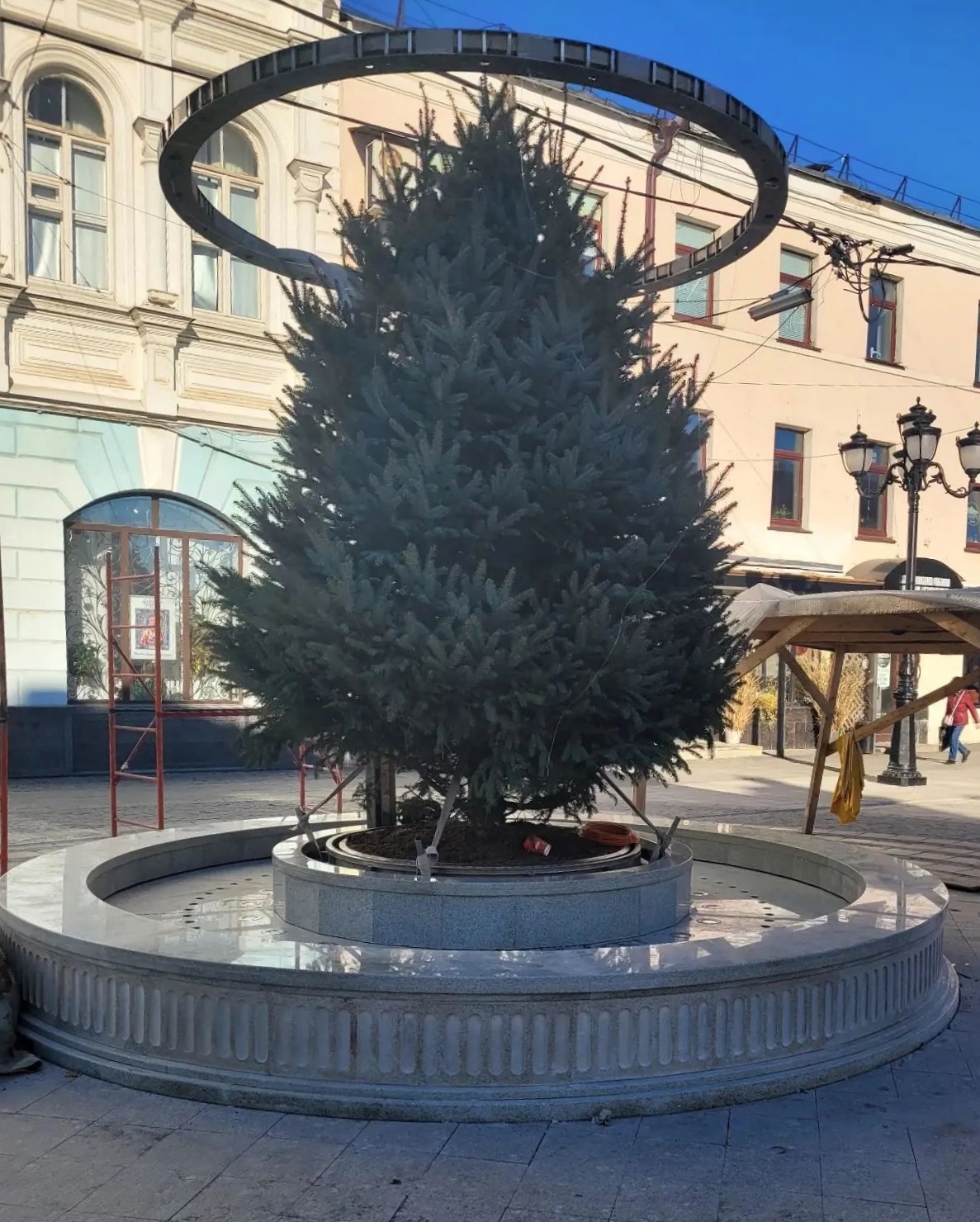 Новогодняя ель установлена в чаше фонтана на городской улице Ярославля