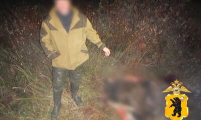 Мужчина в куртке стоит ночью рядом с размытым телом животного в траве