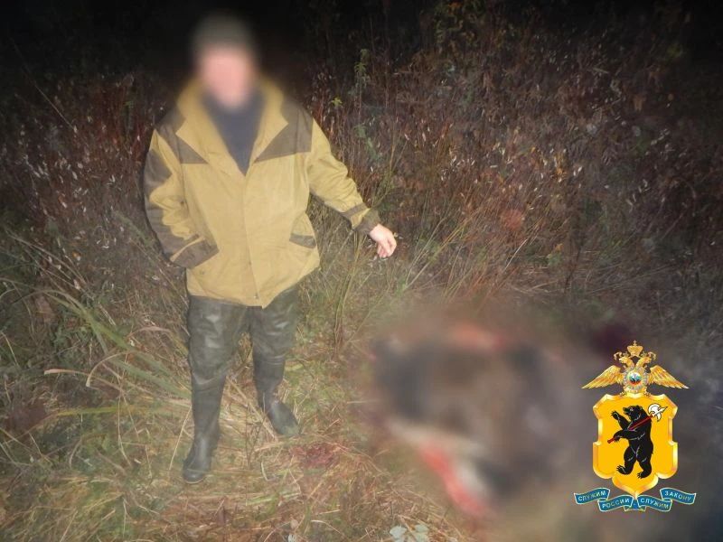 Мужчина в куртке стоит ночью рядом с размытым телом животного в траве