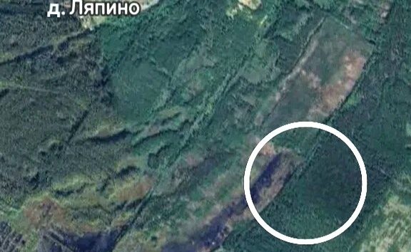 Спутниковый снимок окрестностей деревни Ляпино с выделенным белым кругом участком