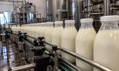 Бутылки с молоком на конвейере молочного производства