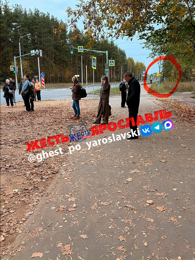 Пассажиры ждут транспорт у остановки в Ярославле рядом с пешеходным переходом