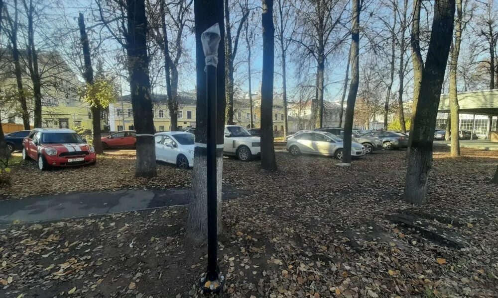 Автомобили припаркованы среди деревьев на Первомайском бульваре в Ярославле