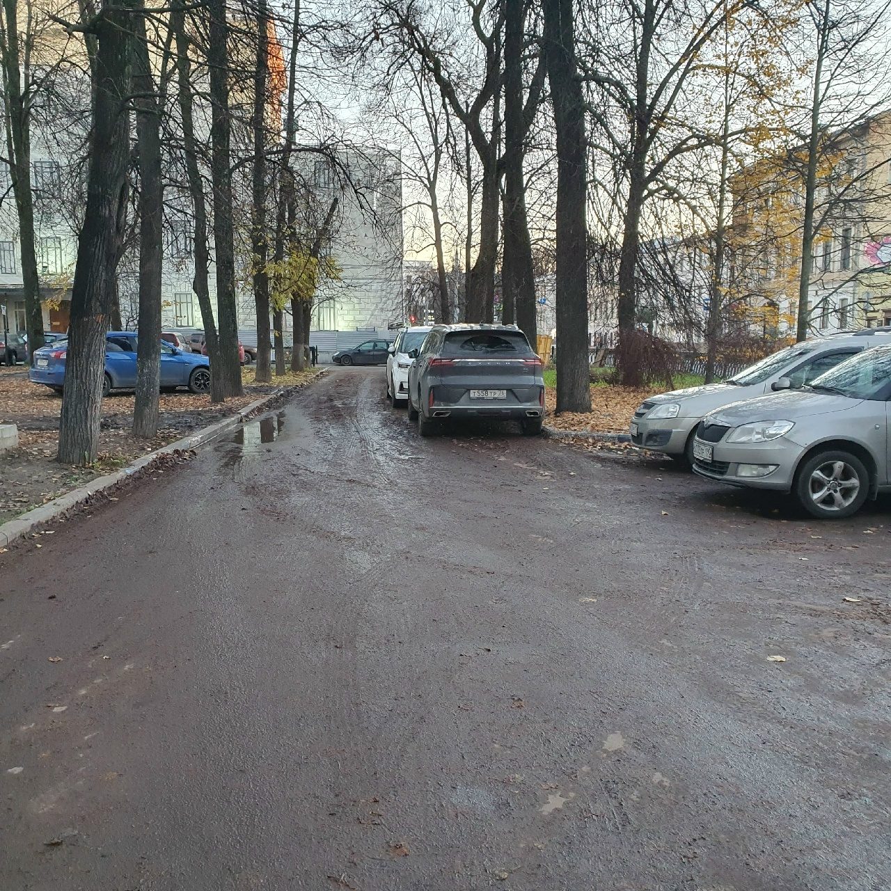 Припаркованные автомобили на грязной дороге среди деревьев Первомайского бульвара в Ярославле