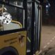 Ребёнок с закрытым лицом выходит из автобуса в Ярославской области ночью