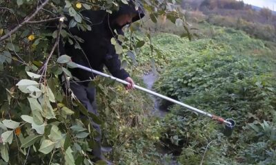 Мужчина берёт пробу воды из ручья среди густой растительности