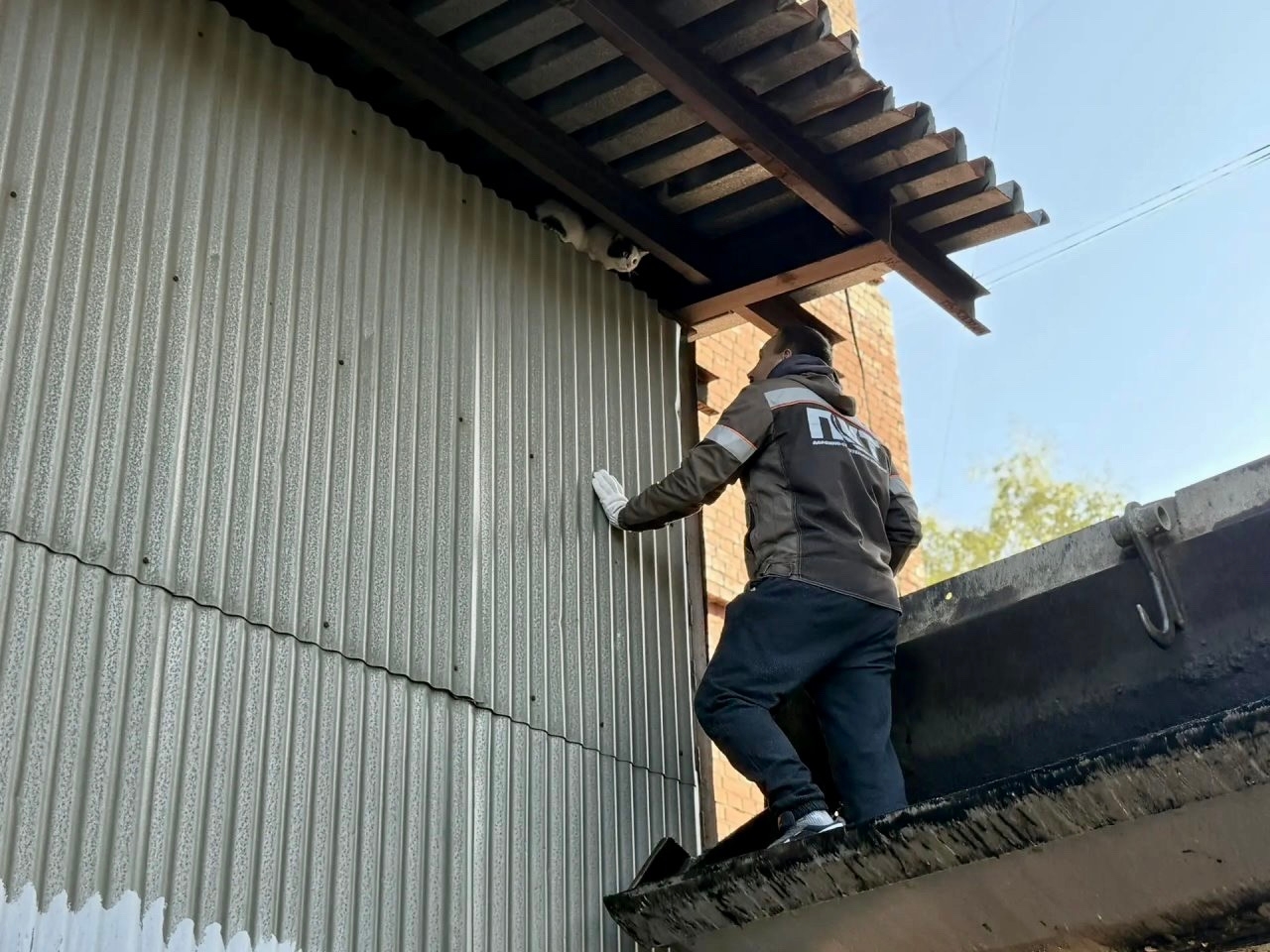 Спасатель поднимается к коту, застрявшему под крышей у стены здания