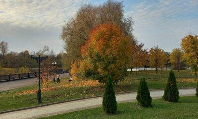Золотая осень в городском парке с яркими деревьями, дорожками и фонарями