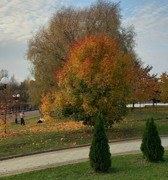 Золотая осень в городском парке с яркими деревьями, дорожками и фонарями